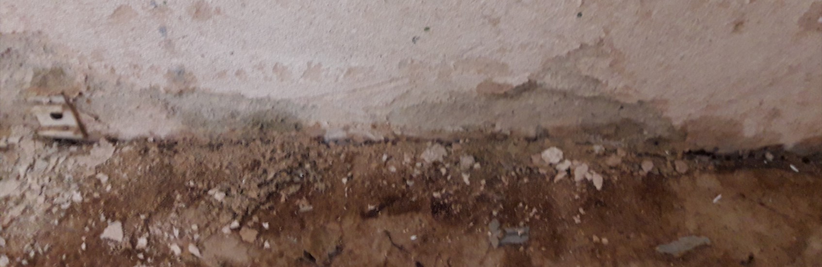 Schimmelpilzbefall im Fußbodenbereich eines Kellerraumes
